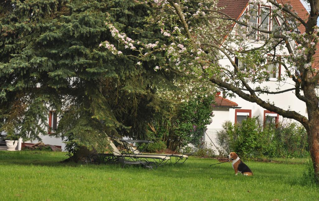 Haeuser Der Villa Italia Marktheidenfeld Exterior foto